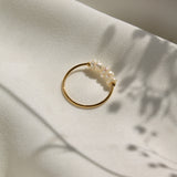 Isla, Ring