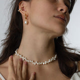 Oceana, Collana